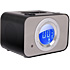 iPod Speaker PIS4